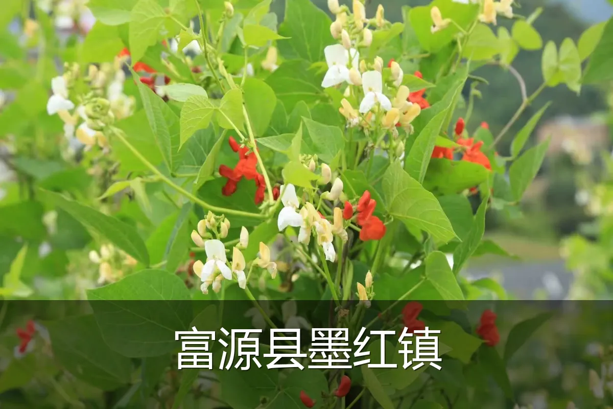 富源县墨红镇